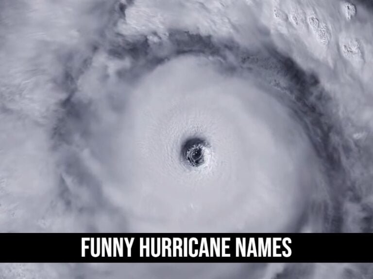 Funny Hurricane Names Hilarious Monikers For The Next Big Storm