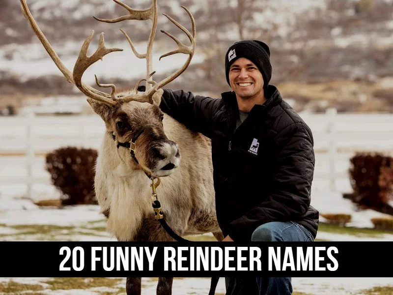20 Funny Reindeer Names