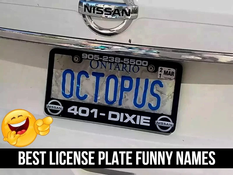 Best License Plate Funny Names