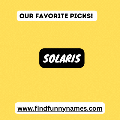 Our Favorite Pick.