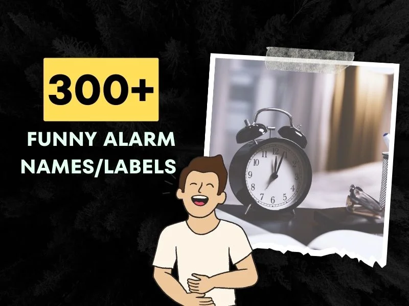 Funny Alarm Names/Labels 