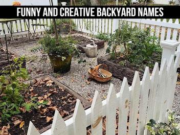 120 Funny And Creative Backyard Names Ideas