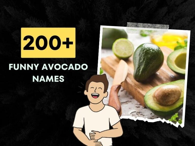 Funny Avocado Names