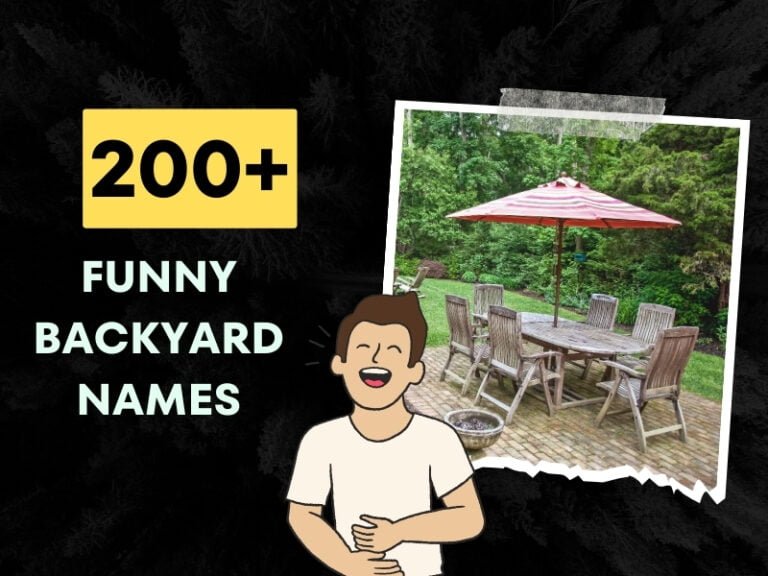 200-funny-backyard-names-add-humor-to-your-outdoor-haven