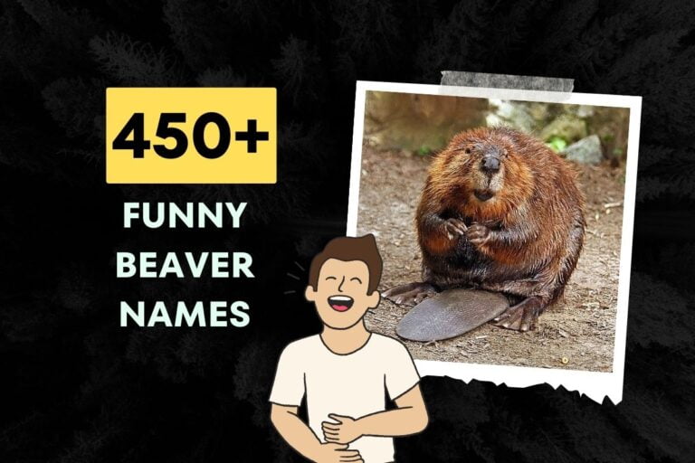 450+ Funny Beaver Names Generator
