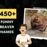450+ Funny Beaver Names Generator