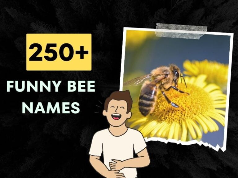 Funny Bee Names