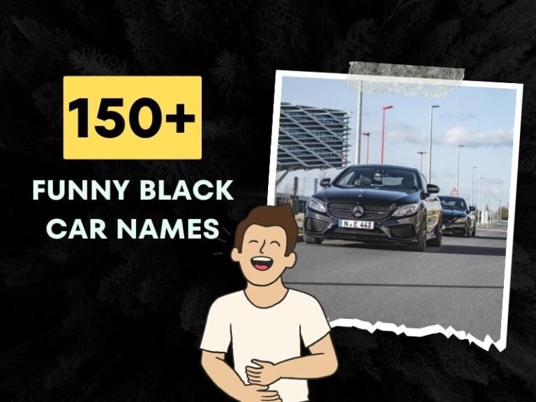 150-funny-black-car-names-side-splittingly-ideas