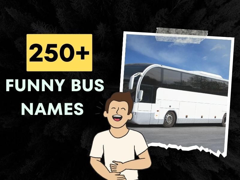 250 Funny Bus Names Chuckles Giggles And Grins On Wheels 