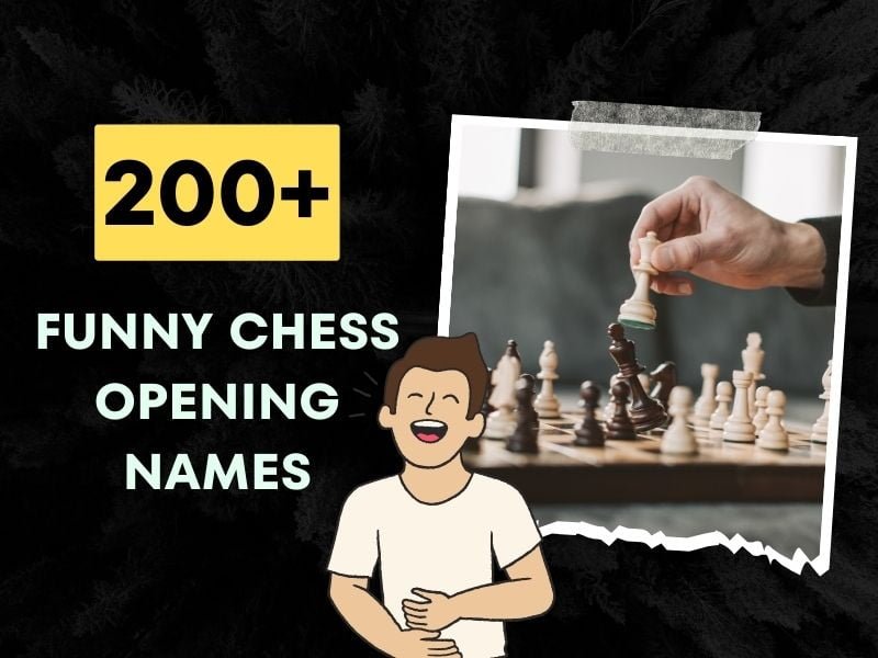 One of the most unusual opening names I've ever seen : r/chess