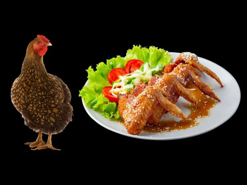 Funny Chicken Names Based On Food