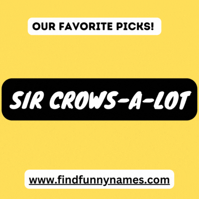 Funny Chicken Names Favorite List