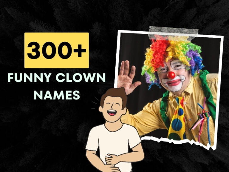 Funny Clown Names