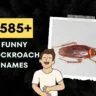 Funny Cockroach Names Generator