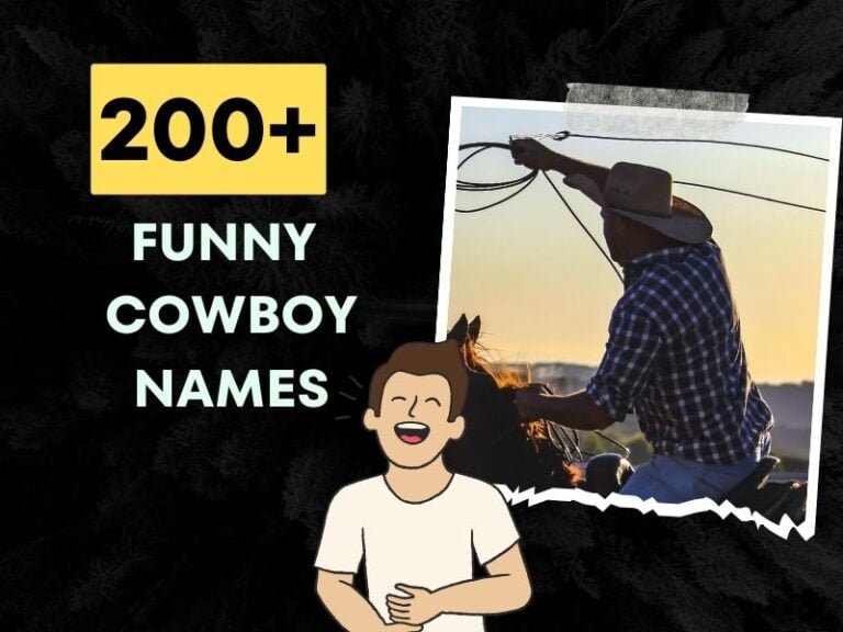 200+ Funny Cowboy Names - Laughter Meets Western Legacy