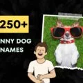 funny dog names