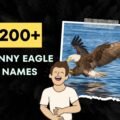 Funny Eagle Names