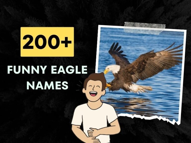 Funny Eagle Names