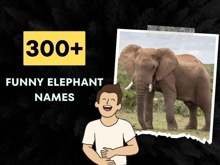Funny Elephant Names