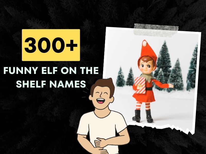 Funny Elf On The Shelf Names