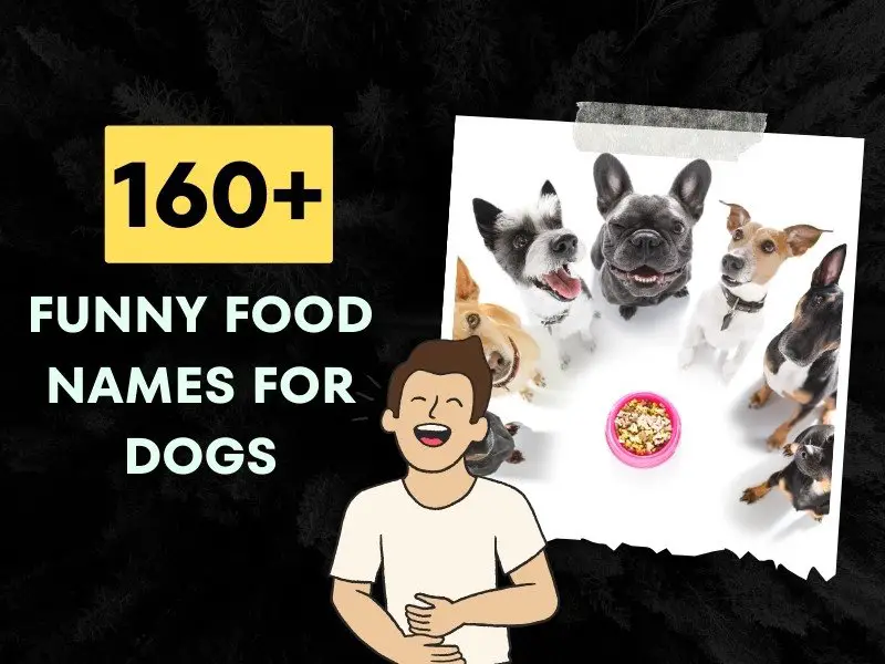 Funny Food Names For Dogs