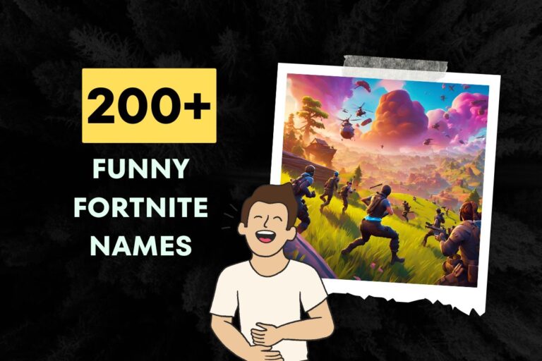 Funny Fortnite Names