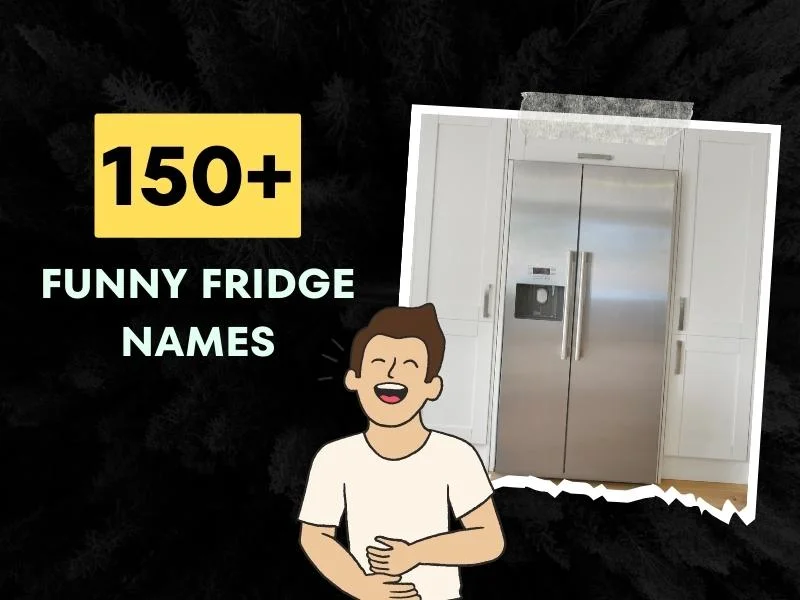 Funny Fridge Names Ideas