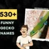 Funny Gecko Names Generator