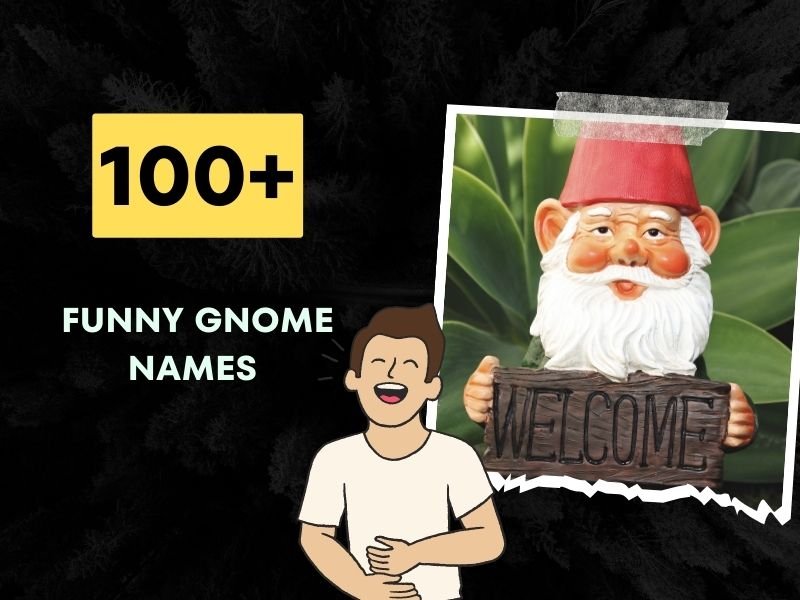 Funny Gnome Names 