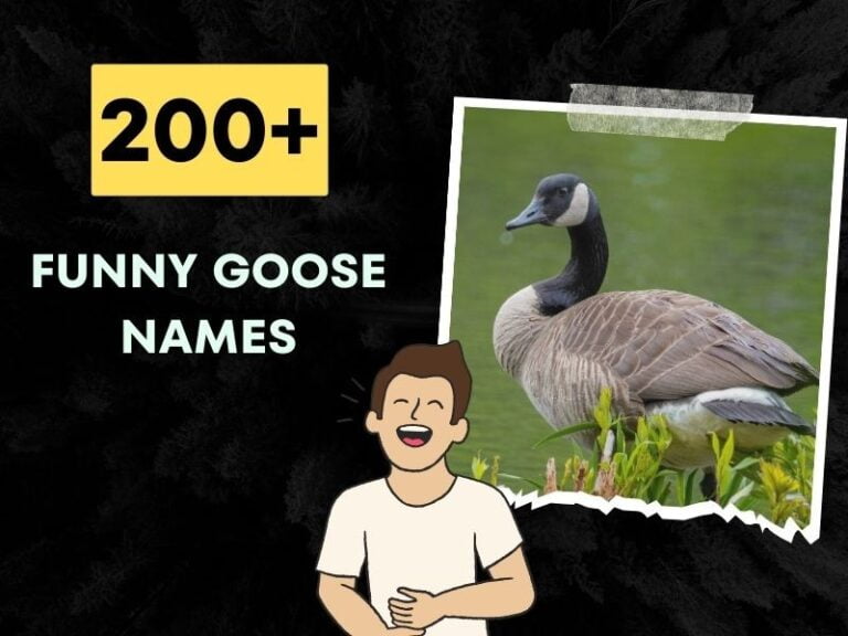 Funny Goose Names