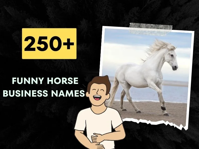 Funny Horse Business Names 