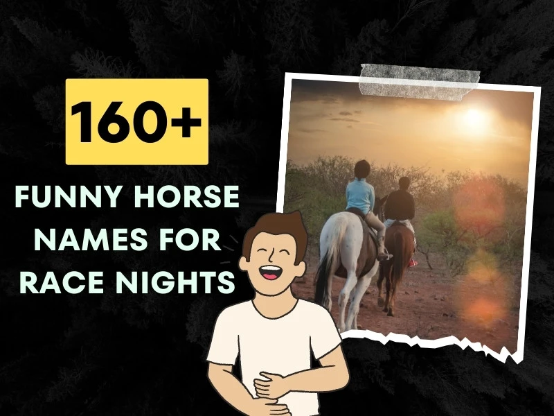 270+ Funny Horse Names For Race Nights (Dirty and Puns)