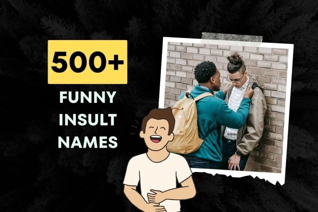 200 Funny Insult Names The Ultimate List For Roasting Friends 