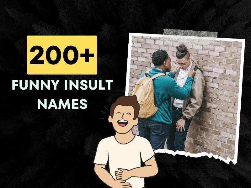 Funny Insult Names