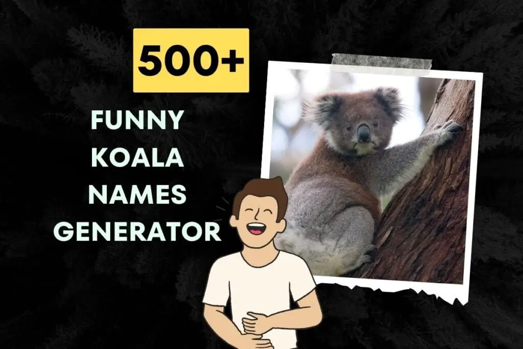 Funny Koala Names Generator