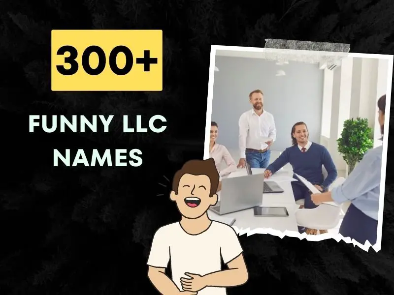 Funny LLC Names