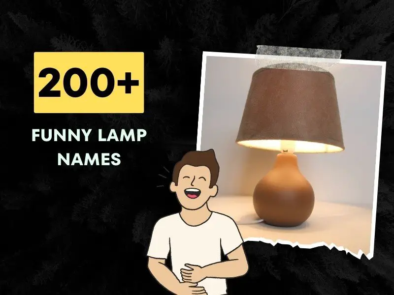 Funny Lamp Names Ideas