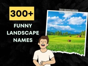300+ Funny Landscape Names - Geography's Hilarious Side