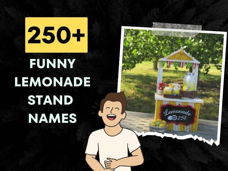 250+ Funny Lemonade Stand Names Boost Your Sales Instantly