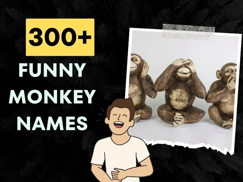 Funny Monkey Names