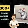 Funny Mouse Names