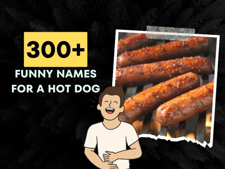 Funny Names For A Hot Dog