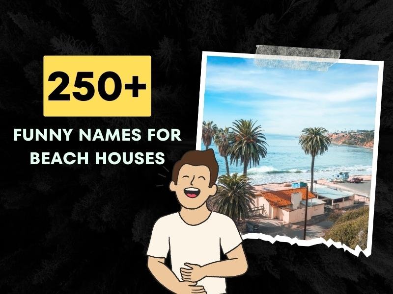 250-funny-names-for-beach-houses-unique-and-creative