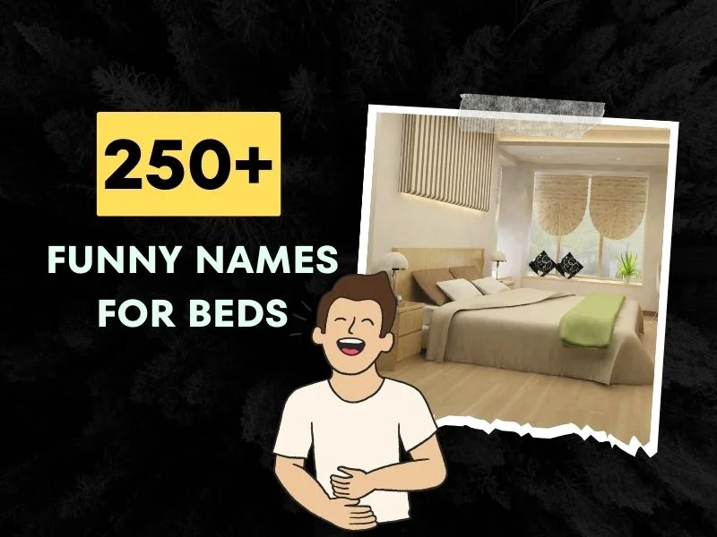 Funny Names For Beds