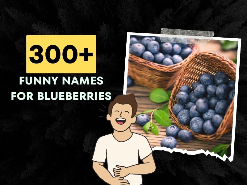 Funny Names For Blueberries