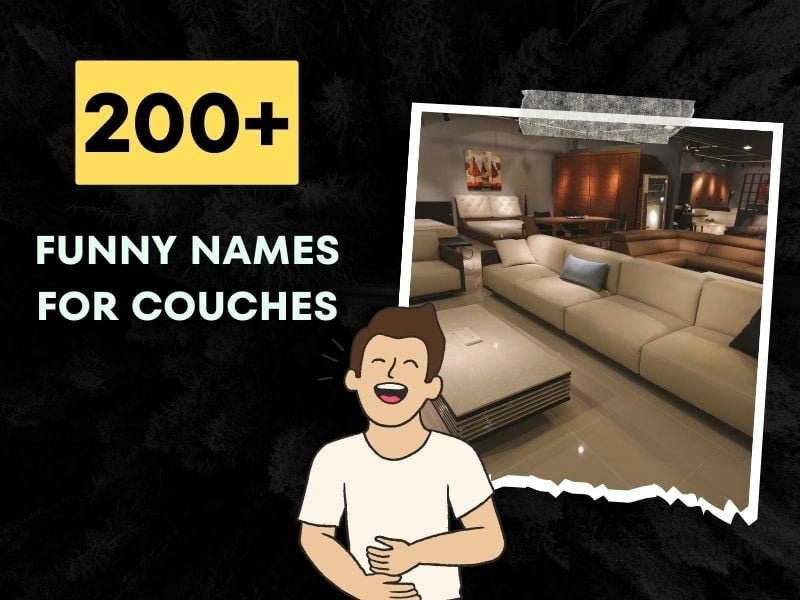 200+ Funny Names For Couches (Make Lounging More Fun)