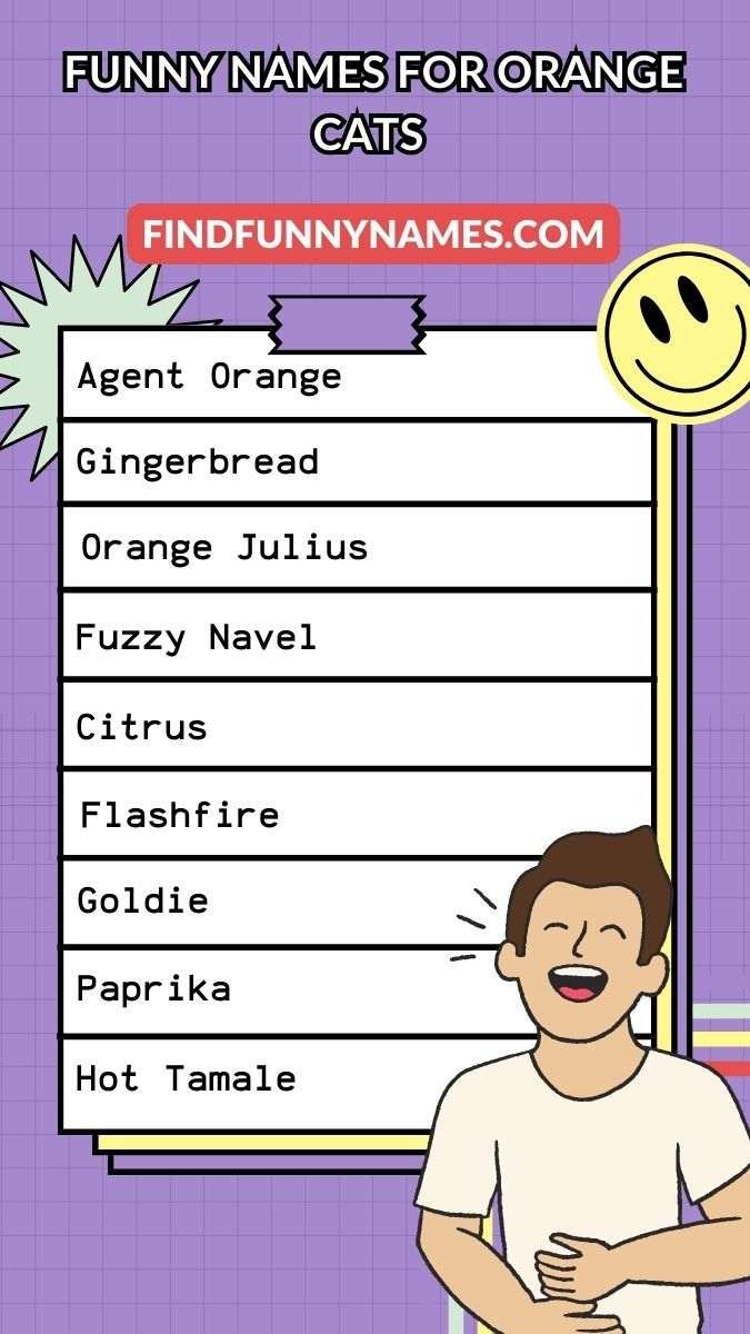 250 Funny Names For Orange Cats Hilarious Ideas 