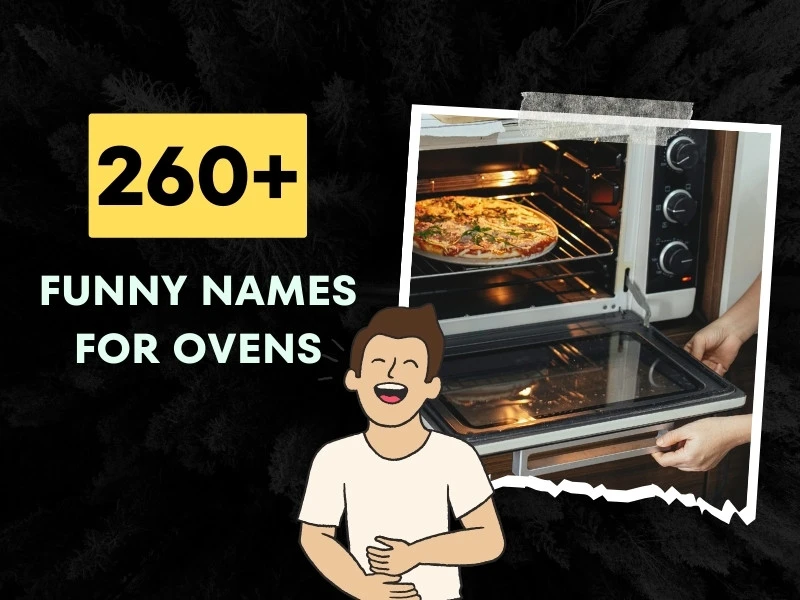 Funny Names For Ovens