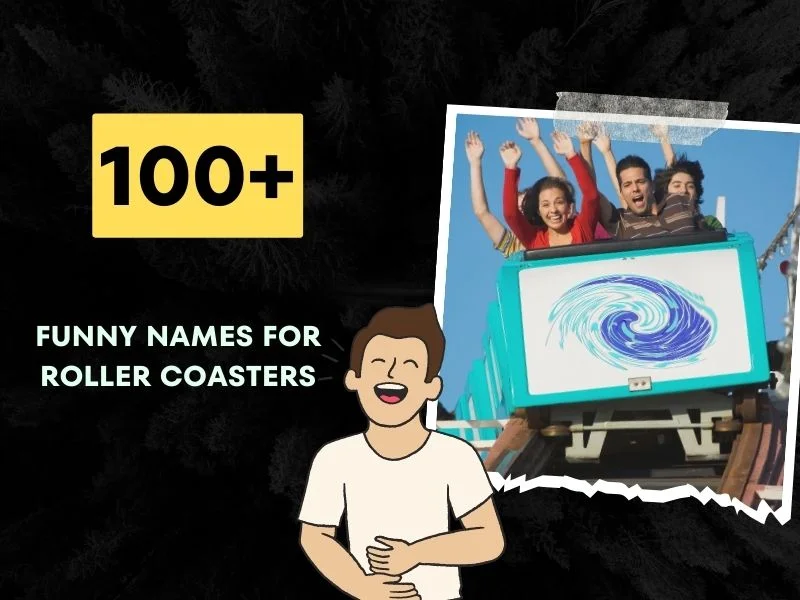 Funny Names For Roller Coasters Ideas