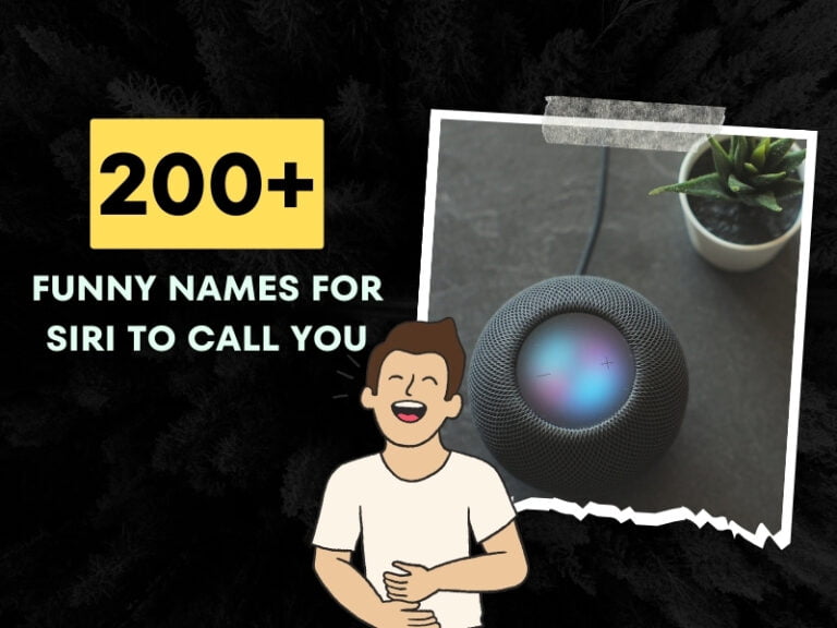 Funny Names For Siri To Call You